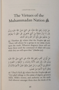 Concise Narrations to Raise the Next Generation - Shaykh Muhyi Al-Din Awwama